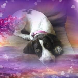 Meet your Posher, Kelly